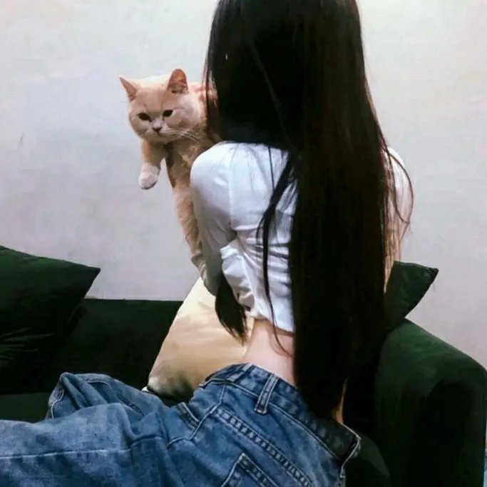 我的青春在黄昏落下